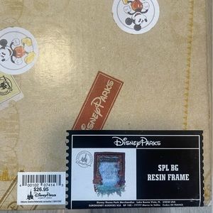 Disney Resin Frame - Splash Mointain